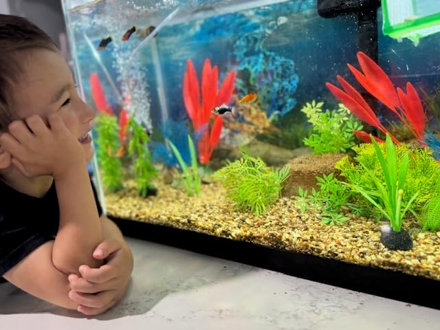 Aquarium Stone for Natural Water Clarification and Odor Removal Featuring Beneficial Bacteria (Small)