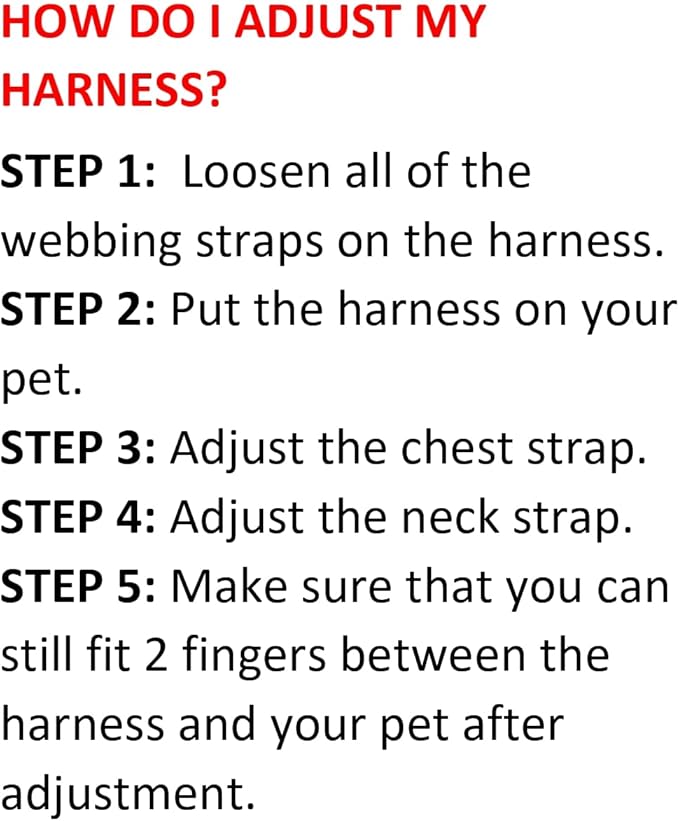 Best Pet Supplies Voyager Step-in Air All Weather Mesh Harness and Reflective Dog 5ft Leash Combo with Neoprene Handle, for Small, Medium and Large Breed Puppies - Set (Baby Blue), Small