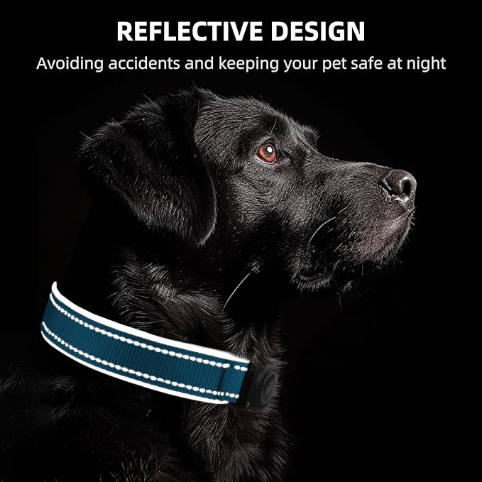 Airtag Dog Collar - 100% Waterproof Air tag Dog Collar Holder for Apple AirTag, Reflective, Soft Padded, Everlasting, GPS Dog Collar for Small Medium Large Dogs (Blue, S)