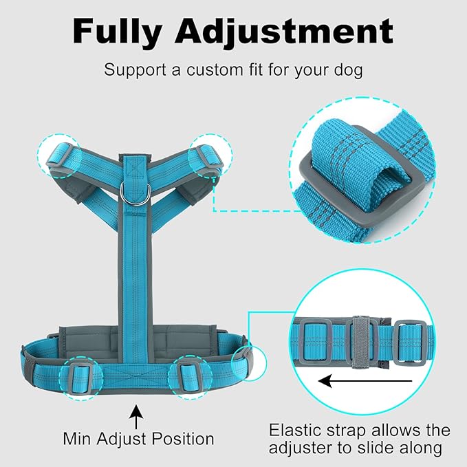 Plutus Pet No Pull Dog Harness, Adjustable Nylon Harness with Soft Padding, Reflective and Heavy Duty Dog Harness for Small, Medium, Large Dogs(Cyan, XS)