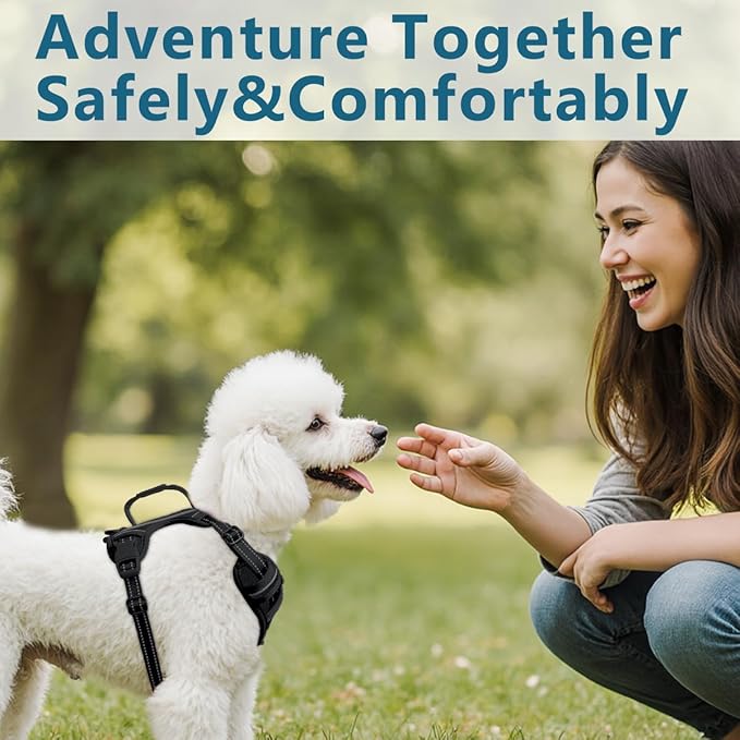 BARKBAY Dog Harness No Pull with ID Tag Pocket - Heavy Duty, Reflective, Easy Control for Large Dogs(Black,XS)