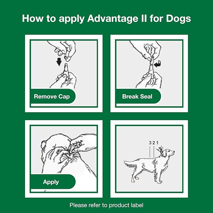 Advantage II XL Dog Vet-Recommended Flea Treatment & Prevention | Dogs Over 55 lbs. | 4-Month Supply