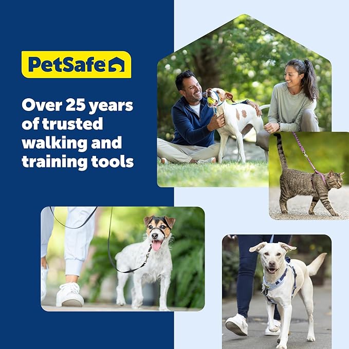 PetSafe Nylon Leash - Helps Maintain Secure Connection on Walks - Durable Pet Leash with Easy Clip - 1 in. x 6 ft. - Royal Blue