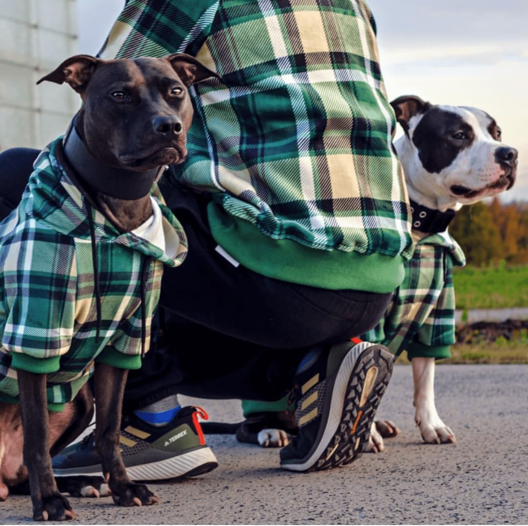 Spark Paws Dog Hoodie – Premium Dog Sweater for Small, Medium, and Large Dogs | Warm Outfits for French Bulldogs, Pitbull, Puppy, Winter Jacket Alternative - Green Plaid - L