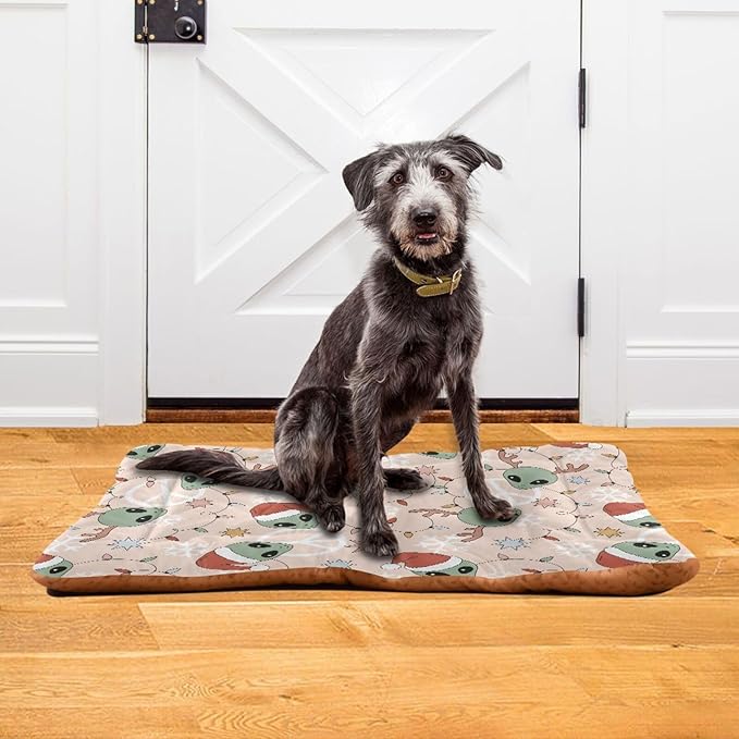 Retro Christmas Alien Pet Bed Cute Dog Bed Mat Absorbing Non Slip Pad Pet Sleeping Mat for Small, Medium, and Large Dogs Puppy Cat 24 in x 18 in