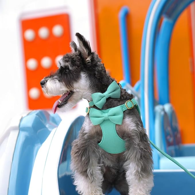 Beirui Adorable Small Dog Harness Collar and Leash Set,Cute Puppy Harness Set with 3 Bows for Small Dogs,Shih Tzu,Dachshund,Adjustable Step-in Vest for Daily Walking,Parties&Holiday Outfits(Teal,S)