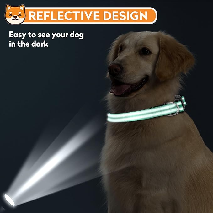 Reflective Dog Collar, Adjustable Soft Neoprene Padded Nylon Pet Collars with Buckle for Puppy and Small Dogs, Cats, Grass Green,XS