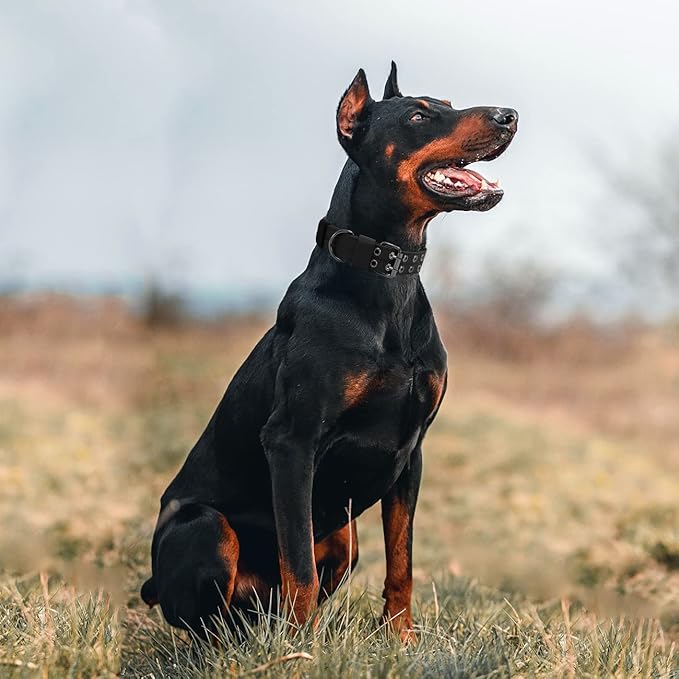 Tactical Dog Collar Military Adjustable Dog Collars Soft Nylon Training Collar with Patch Heavy Duty Metal Buckle Collars for Medium Large Dogs (Pink-1, XL)