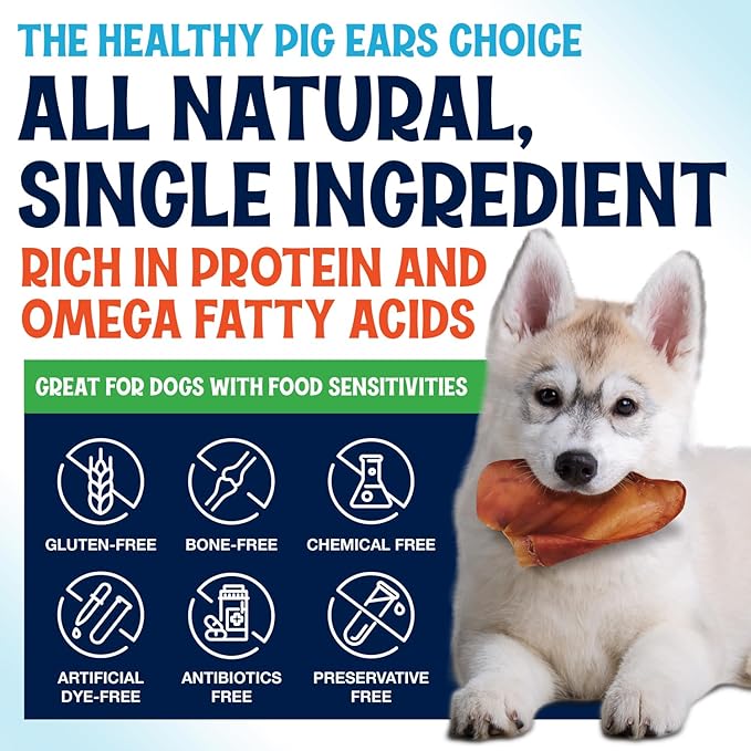 Whole Pig Ears for Dogs - 15 Pack Long Lasting Dental Chews – One Ingredient Delicious All Natural Flavor Treats – Easy to Digest for Large Pets - Great for Teeth and Gums