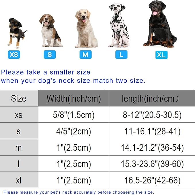 DOGWONG Spring Flower Dog Collar-Cute Floral Daisy Dog Collar, Adjustable Soft Girl Female Dog Collar for Medium Large Dogs, L