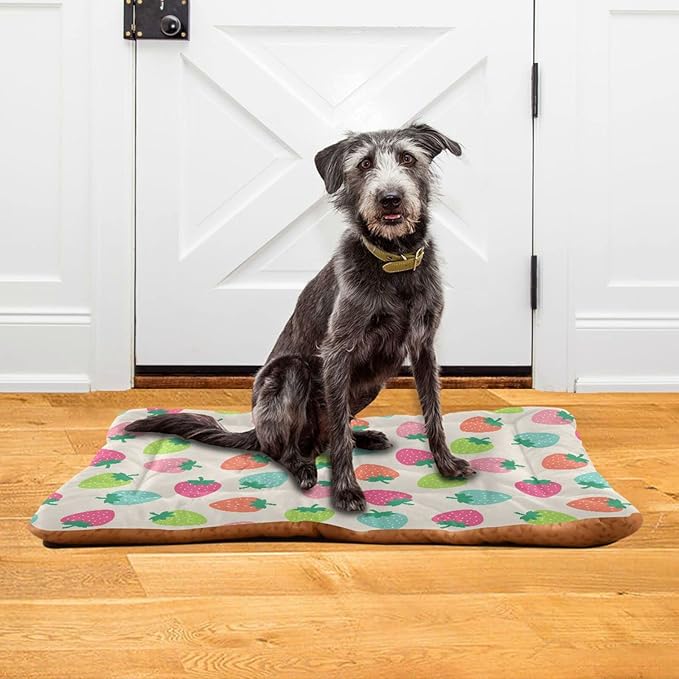 Pet Bed Strawberry Fruits Dog Bed Mat Absorbing Non Slip Pad Pet Sleeping Mat for Small, Medium, and Large Dogs Puppy Cat 36 in x 24 in