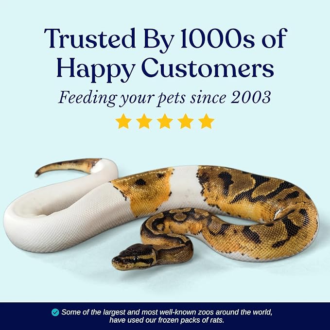 MiceDirect Frozen Rat Pups Feeder Food Adult Corn Snakes Juvenile Adult Ball Pythons Monitor Lizard (40 Count)