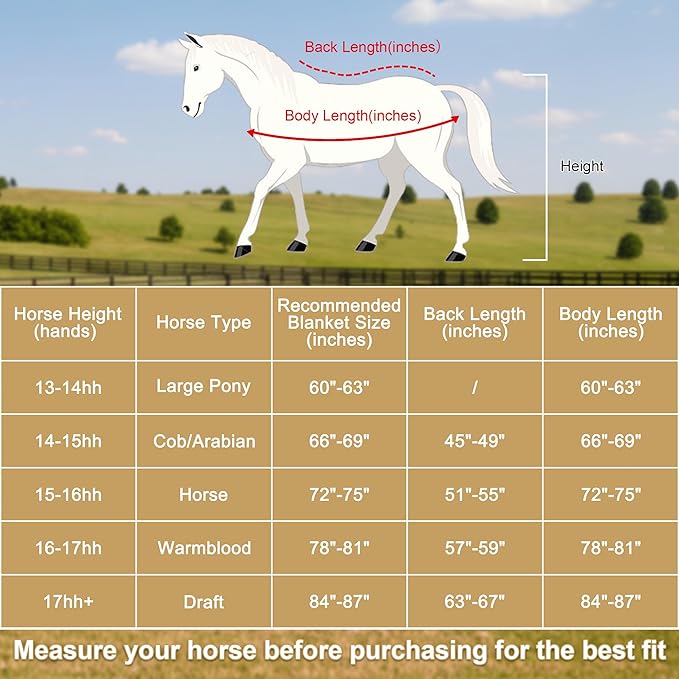 Horse Fleece Cooler, Blanket Liner - 300g Anti-Pilling Fleece, Moisture-Wicking, Cooling & Drying for Post-Workout, Bath & Travel, Prevent Overheating & Chilling Navy 81