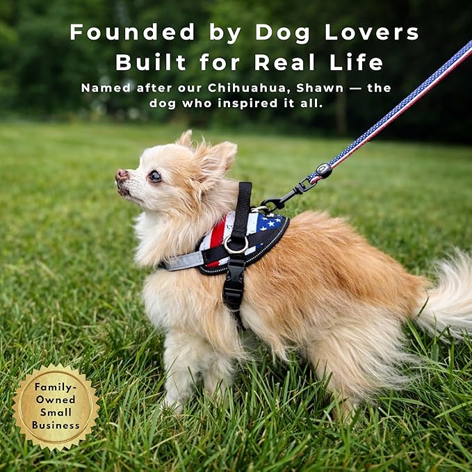 ShawnCo Essential Dog Harness, No-Pull Pet Vest with 3 Leash Clips, No Choke, Reflective, Adjustable and Padded, for Easy Walking and Training for Small, Medium and Large Dogs (Midnight, L)