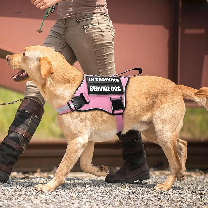 Service Dog Vest Harness and Leash Set+10 Patches,No Pull&Easy Walk Reflective Dog Harness with Soft Padded Handle for Training/Everyday,Fit Small/Medium/Large/Extra-Large Dogs(Pink S)