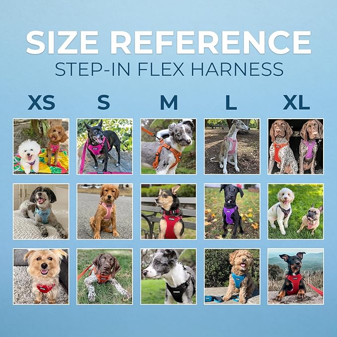 Best Pet Supplies Voyager Adjustable Step-in Flex Breathable Mesh Dog Harness for Small Medium Large Dogs (Fuchsia), L