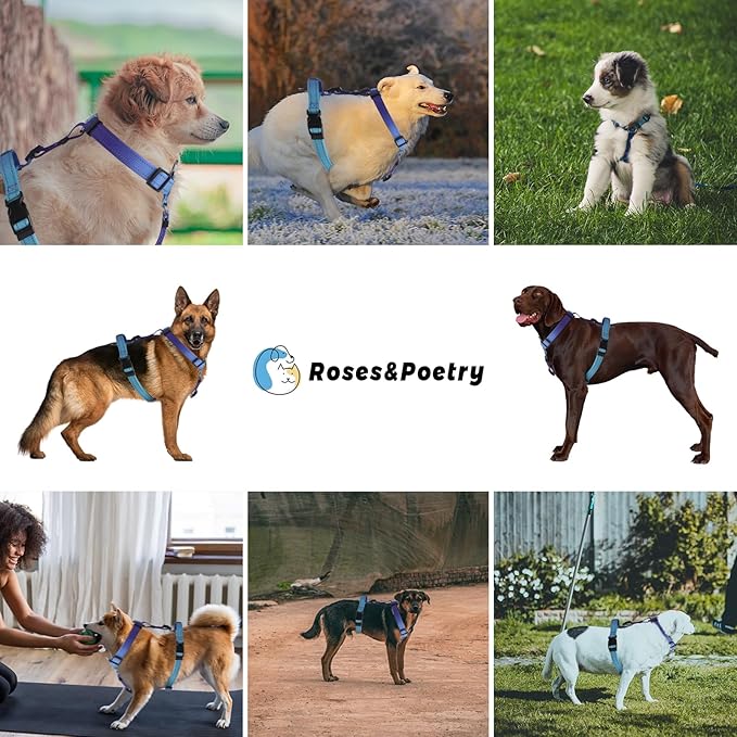 Roses&Poetry Dog Harness Large Breed, Adjustable No Pull Vest Harness and Leash Set, Reflective Puppy Harnesses with Comfort Padded Handle for Pet Training Outdoor Walking(Gsky-XL