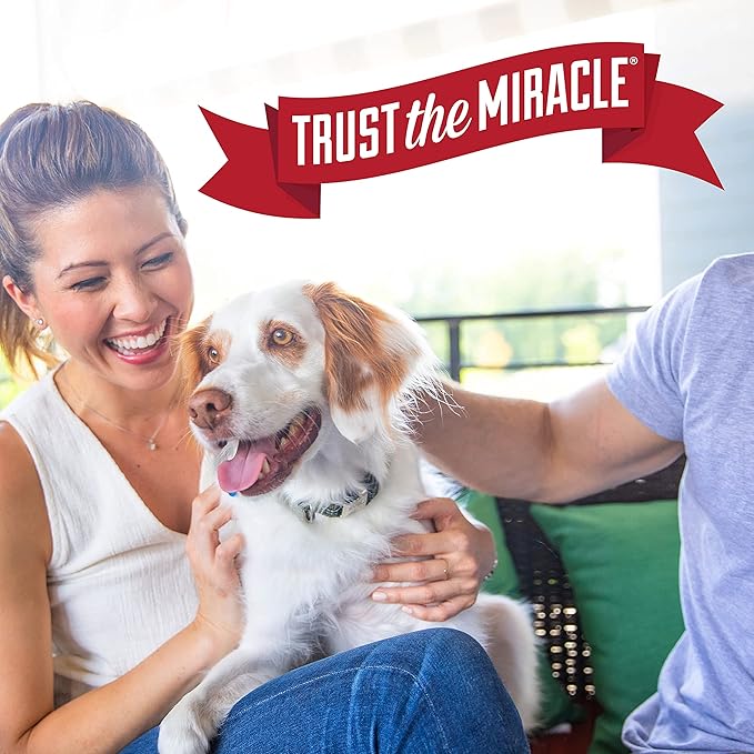 Nature's Miracle® Stain & Odor Remover, Tough on Dog Urine, Feces, Vomit, Drool and Other Organic Stains and Odors, 1 Gallon (Pack of 4)