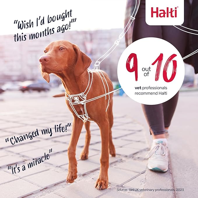 Halti No Pull Harness - Stop Your Dog Pulling on The Leash. Adjustable, Lightweight and Easy to Use. Reflective Dog Training Harness for Small Dogs (Size S, Burnt Orange)
