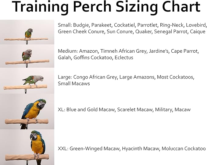 Parrot Training Perch Kit (Standard, Medium)