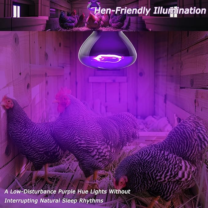 60W Reptile Night Light Bulb – 2.5" Small Purple Moonlight UVA Heat Lamp for Bearded Dragons, Lizards, Snakes, Chameleons, Amphibians, Turtles – Indoor Terrarium Basking Lamp, 2-Pack