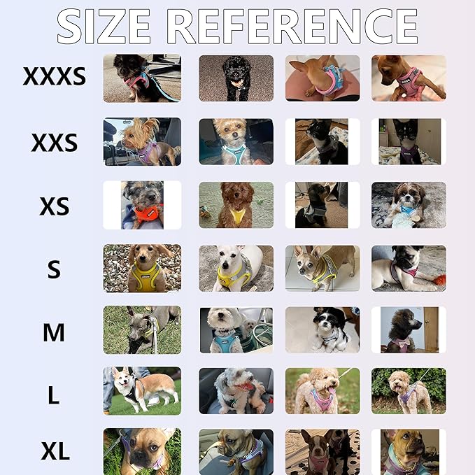 AIITLE No Pull Dog Harness and Leash Set, Step in Adjustable Dog Harness with Padded Vest for All Weather, Dog Leash with Soft Padded Handle, Easy to Put on Small and Medium Dogs Pure Purple S