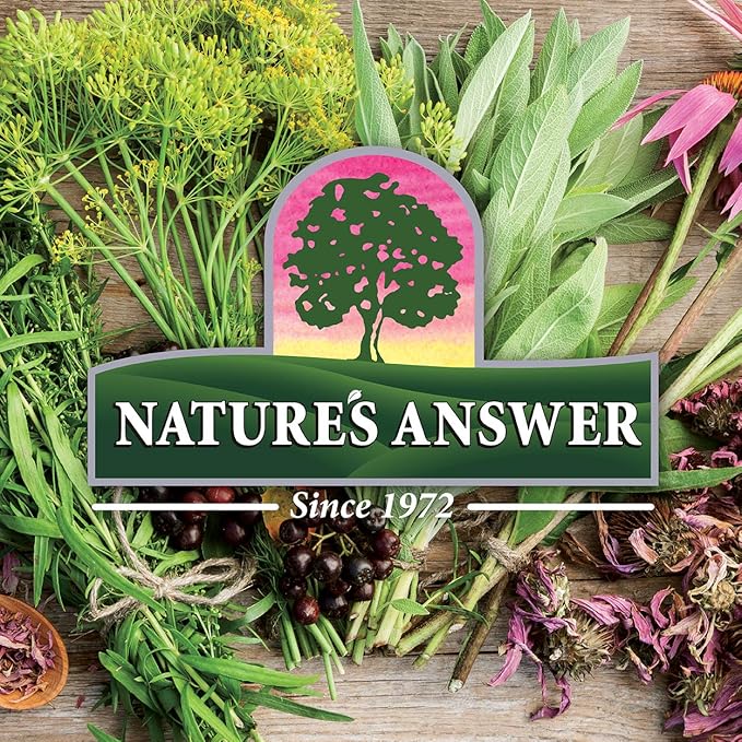 Nature's Answer Alcohol-Free Sambucus Extract Spray, 2-Ounces | Immune System Support | Vegan, Gluten-Free, No Artificial Flavors or Preservatives | Single Count