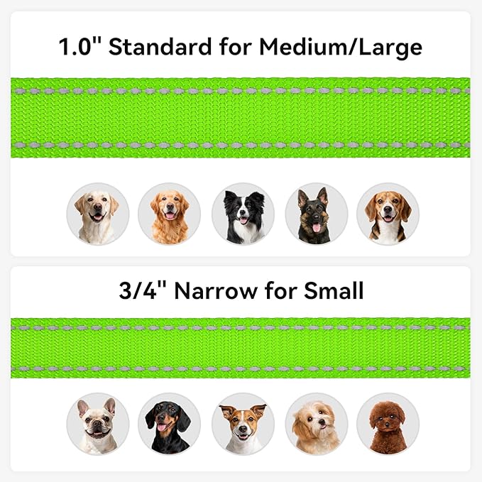 Joytale Dog Leash, 4 FT Double-Sided Reflective, Padded Handle Nylon Heavy Duty Leashes for Small Dogs Walking, Green