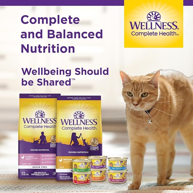 Wellness Complete Health Cubed Adult Wet Cat Food, Natural, Protein-Rich, Grain Free, 5.5 Ounce, 24 Pack, (Tuna Entrée)