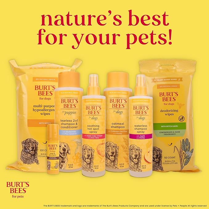 Burt’s Bees for Pets Oatmeal Dog Shampoo with Honey, Soothing Dog Shampoo for Itchy and Sensitive Skin, pH Balanced Formula That Gently Cleans and Moisturizes Dog Coats, 16 Fl Oz - 2 Pack