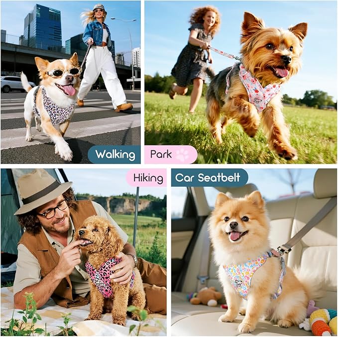 Pawaboo Small Dog Harness and Leash Set, Puppy Harness X-Frame No Pull No Choke, Dog Vest Harnesses Adjustable for Small Medium Sized Dogs,Soft Breathable Pet Harnesses, XS, Colorful Leopard