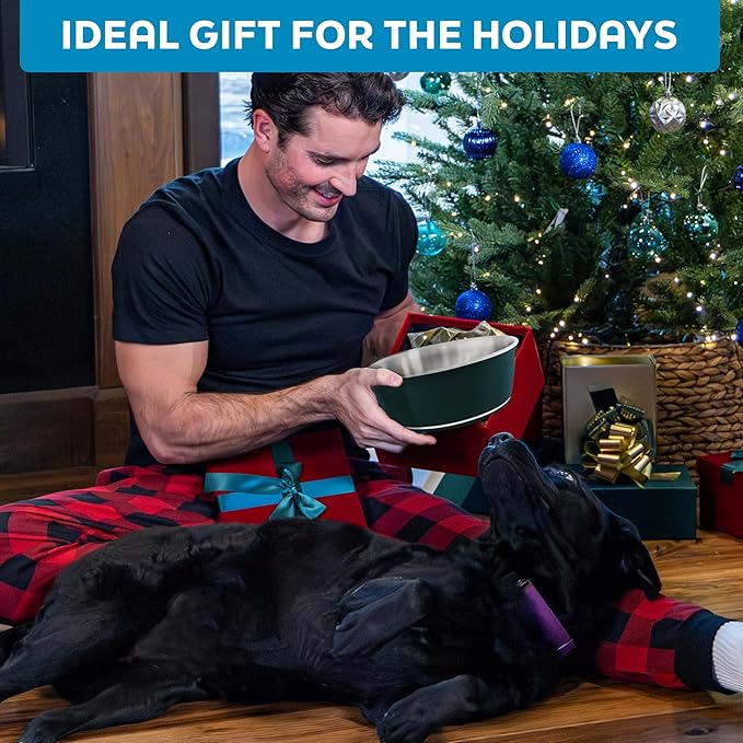Master Pet Supply Stainless Steel Dog Bowls Set of 2 (16 Oz Each) with Non-Slip Rubber Base - Emerald Sea - Basic Dog Food Bowl Water & Food Bowls for Small Medium Large Dogs & Cats, Metal Dish
