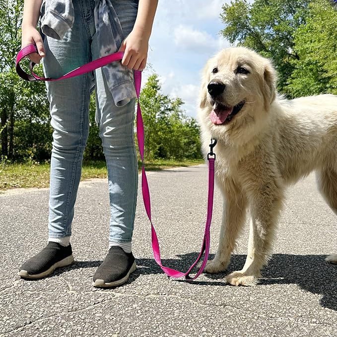 Joytale Dog Leash Heavy Duty for Large Dogs that Pull, Double Handle for Traffic Control, Double-Sided Reflective Leashes for Large Medium Dogs Night Safety, 6FT, Hot Pink