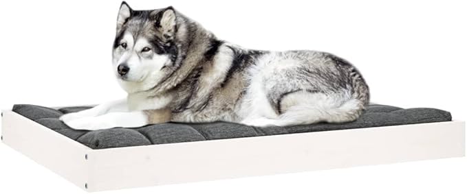 Medium Elevated Dog Bed, Solid Pine Wood Pet Cot for Indoor Use, Modern Minimalist Style White Pet Furniture, Durable Raised Sleeping Platform for Medium Dogs