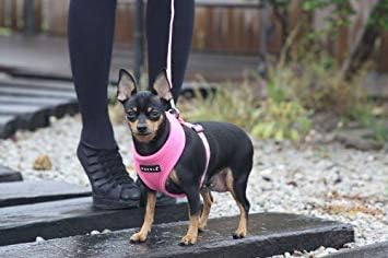 Puppia Soft Dog Harness No Choke Over-The-Head Triple Layered Breathable Mesh Adjustable Chest Belt and Quick-Release Buckle, Brown, XX-Large