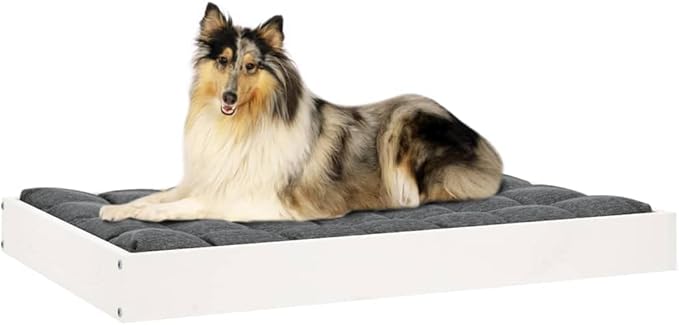 Modern Medium Dog Bed, Solid Pine Wood Elevated Pet Bed Frame, Minimalist Rectangular Sleeping Cot for Living Room, Sturdy Wooden Pet Furniture, White