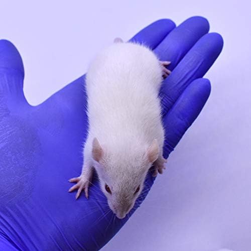 MiceDirect EST. 2003 50 Frozen Rat Combo Pack 25 Rat Weanlings and 25 Rat Small Feeders Snake Food for Juvenile Ball Pythons and Monitors (3.5-6 in)(1875 Grams Min)