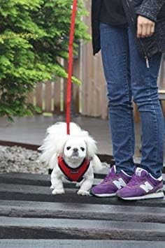 Puppia Soft Dog Harness No Choke Over-The-Head Triple Layered Breathable Mesh Adjustable Chest Belt and Quick-Release Buckle, Purple, X-Large