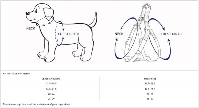 Blueberry Pet Essentials Matching Dog Collar Leash Harness Set in Verdant Green, Adjustable Classic Solid Color Nylon Collar with Harness & 4 ft Leash for Large Dogs