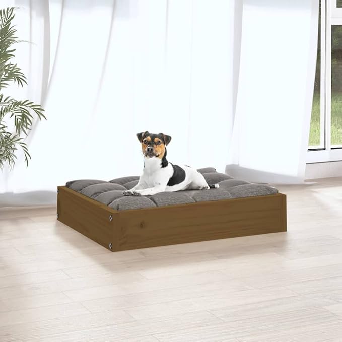 Solid Pine Wood Dog Bed Honey Brown 20.3 x 17.3 x 3.5 Inches Cozy Resting Space for Small Breed Pets Durable Frame Minimalist Design Indoor Use