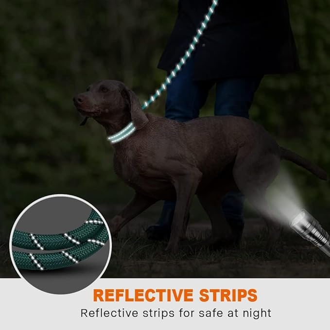 Taglory Rope Dog Leash 6 FT with Comfortable Padded Handle, Highly Reflective Threads Leash and Anti-Tangle Clip for Walking Medium Large Dogs, 1/2 inch, Turquoise