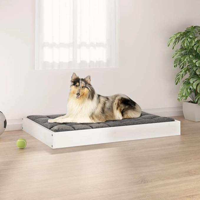Modern Medium Dog Bed, Solid Pine Wood Elevated Pet Bed Frame, Minimalist Rectangular Sleeping Cot for Living Room, Sturdy Wooden Pet Furniture, White