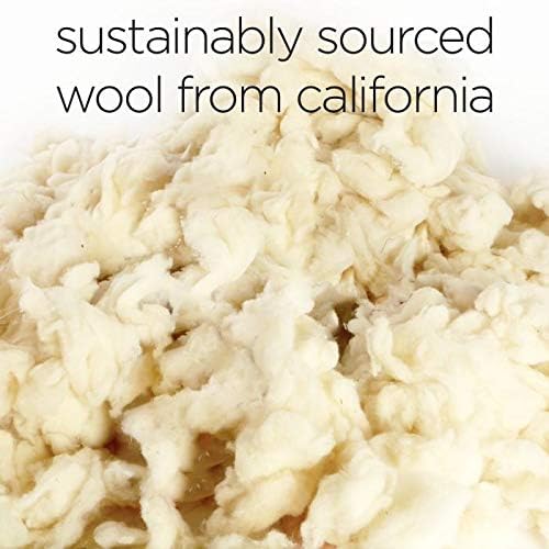 Molly Mutt Sheepy Wool-Filled Crate Pad, GOTS-Certified 100% Organic Cotton Canvas Cover with Soft 100% Natural Wool Insert, Ideal for Dog Bed or Kennel, Forever Young, 24" x 18" x 2.5"