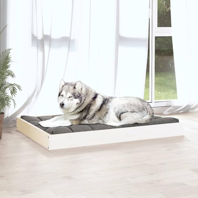 White Solid Pine Wood Elevated Dog Bed for Medium Dogs, 4-Piece Simple Design Pet Furniture with Cozy Spot and Durable Construction