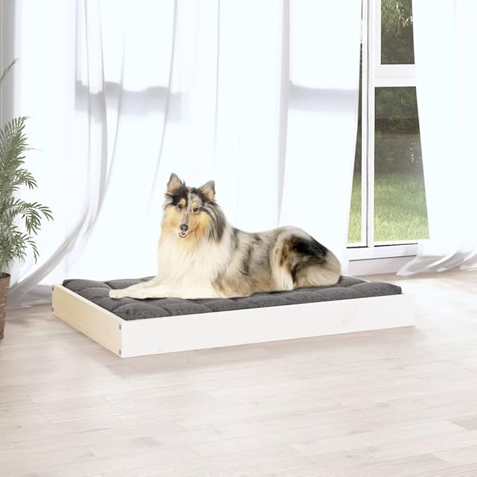 White Solid Pine Wood Dog Bed 36x25.2x3.5 Inch Large Pet Sofa for Medium Dogs, Rustic Minimalist Raised Dog Bed Frame with Sturdy Design for Living Room & Bedroom