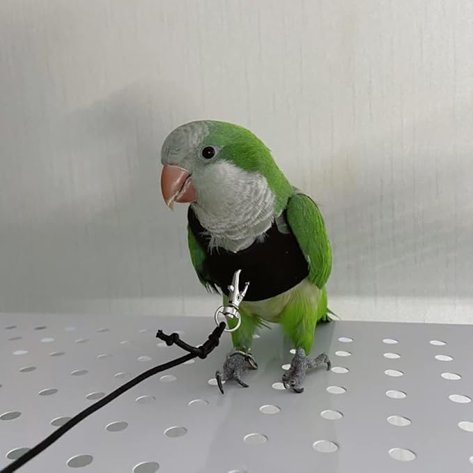 Bird Flight Harness Vest, Parrot Flight Suit with Leash for Parakeets Cockatiels Conures Budgies, Bird Flying Clothes with Rope and Handle for Outdoor Activities Training, Anti Bite (X-Large)