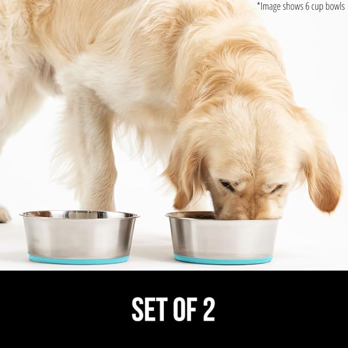 GORILLA GRIP Set of 2 Dog Bowls, Holds 8 Cups (64 fl oz), Heavy Duty Metal Food and Water Bowl for Feeding Dogs and Cats, Dishwasher Safe Rust Resistant Stainless Steel, BPA Free Rubber Base Turquoise