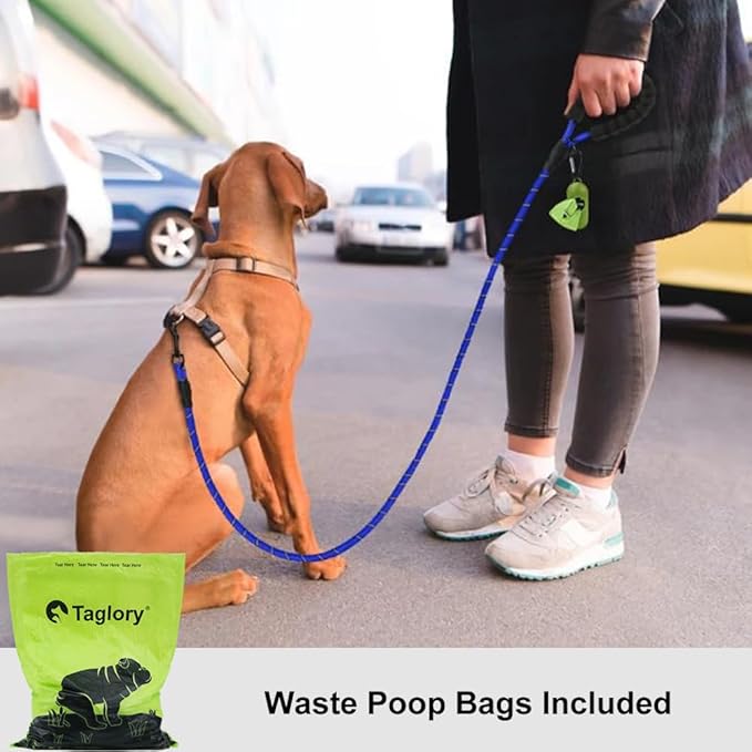 Taglory Rope Dog Leash 6 FT with Comfortable Padded Handle, Highly Reflective Threads Leash and Anti-Tangle Clip for Walking Small Dogs, 3/8 inch, Navyblue