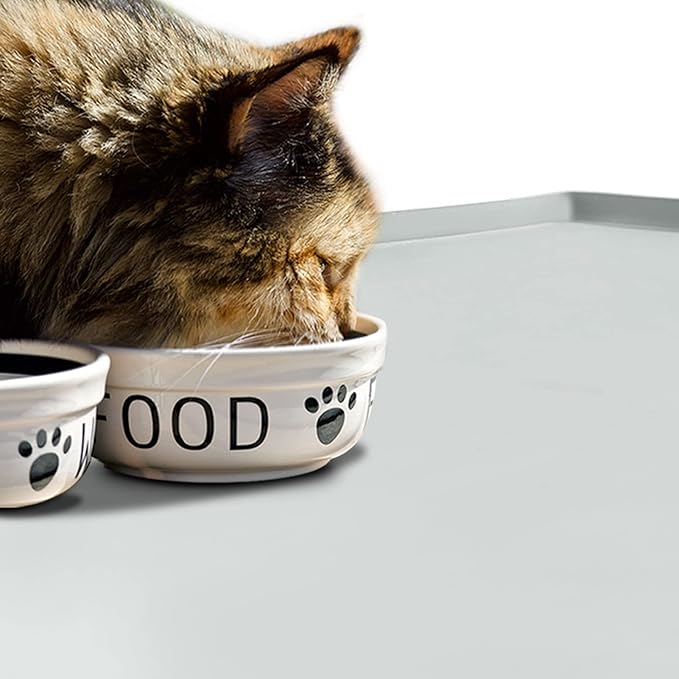 Dog Food Mat,Silicone Waterproof Food Tray,Non Slip Pet Bowl Mats Placemat,0.8" Raised Edge,Suitable for Most Small and Medium Sized Pets,28" x 18"