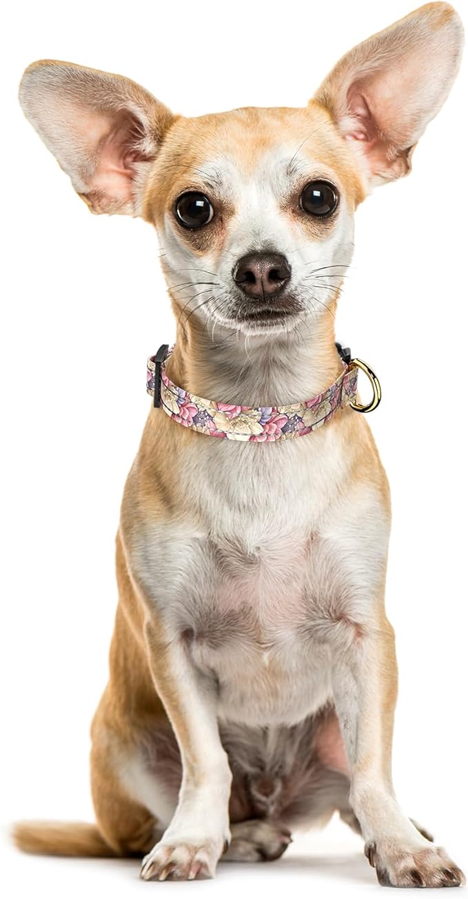 Reflective Dog Collar for Extra Small Dogs, Cute Flower Theme Adjustable Heavy-Duty Nylon Puppy Collar for Boy and Girl Female, Soft Pet Accessories with Quick Release Buckle, Colorful Floral